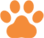 pageTitle_icon