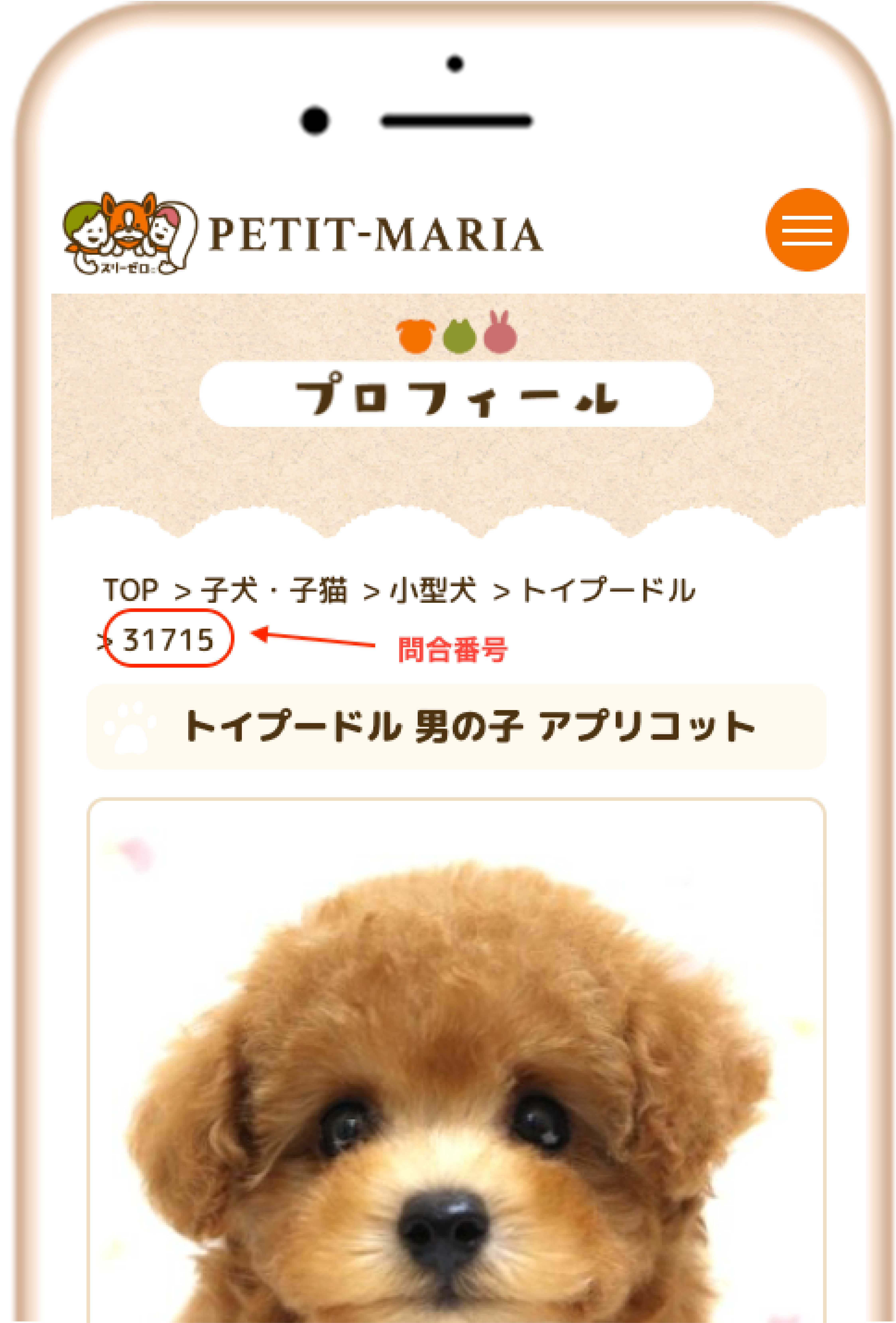 step2-sp2