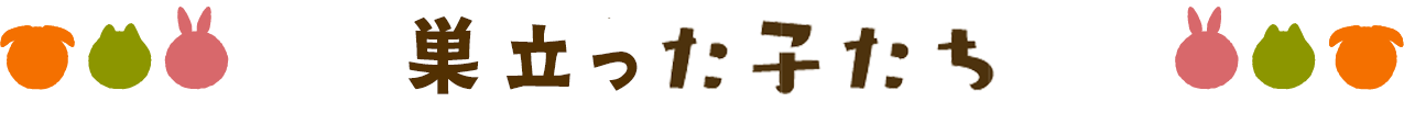 巣立った子たち